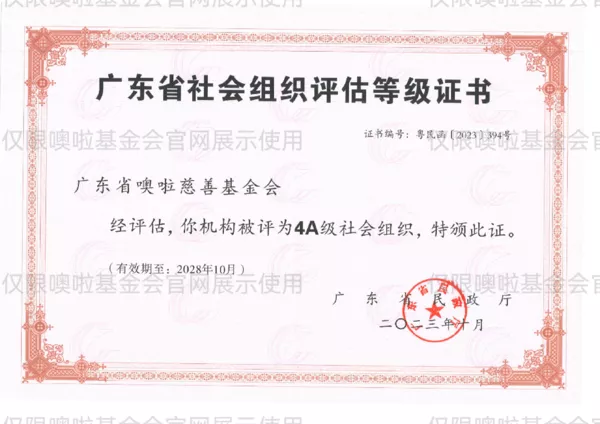 广东省社会组织评估等级证书.png
